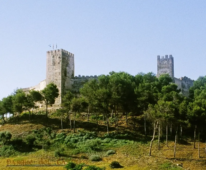 listing card gallery